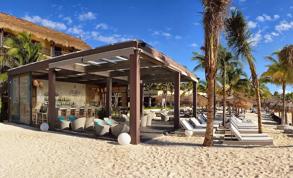 Catalonia Yucatan Beach Resort & Spa Puerto Aventuras